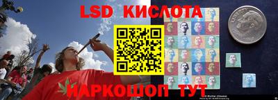 бошки Будённовск