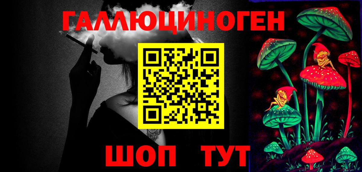 Псилоцибиновые грибы Psilocybe Лиски