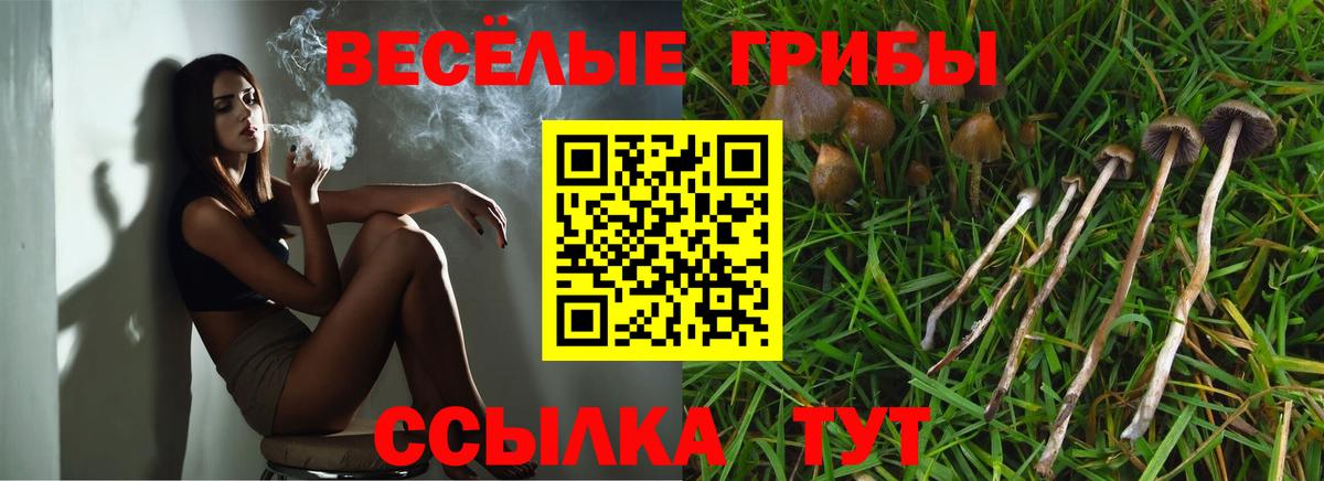 Галлюциногенные грибы GOLDEN TEACHER  купить наркотик  Лиски  Вход с VPN 